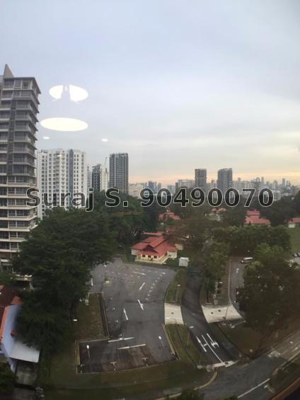 Medge (D11), Apartment #156150942
